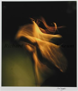 Image description is not available for 2018.124